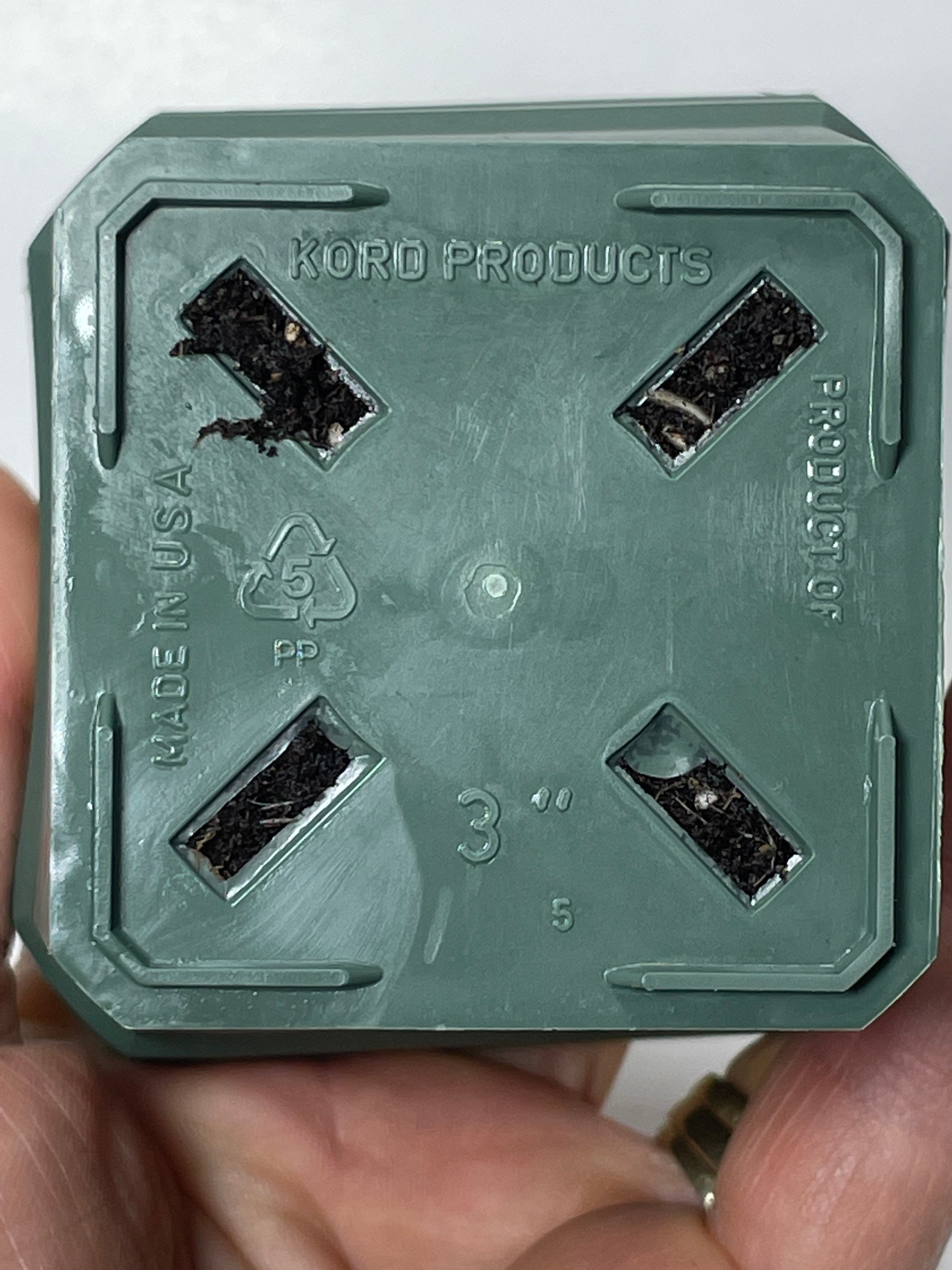 Lucky Shamrock Also Known as Iron Cross Shamrock Etsy