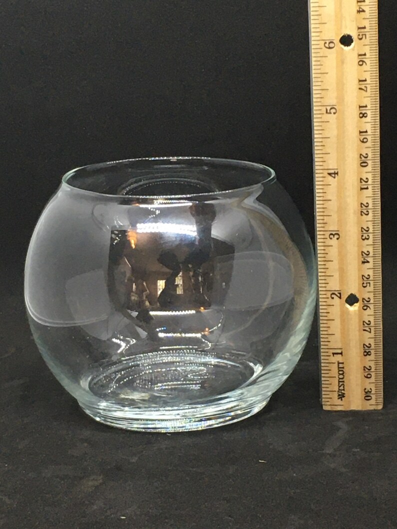 DIY Paperwhite Forcing Kit 2 Bulbs Etsy