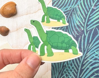 Sticker vinyle tortue des Galapagos