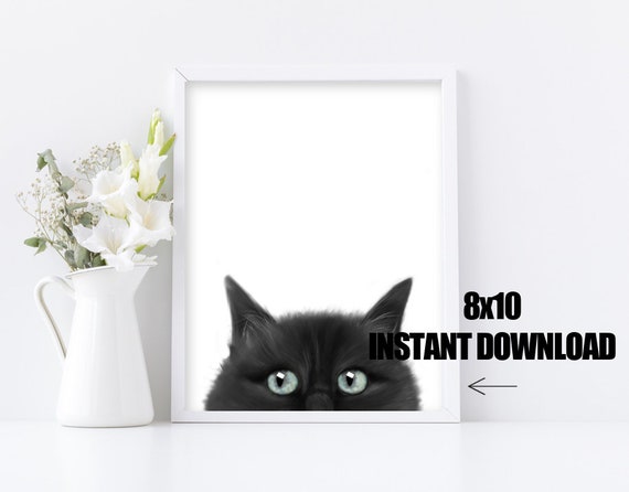 Black Cat Printable Picture - Kitty Cat Lover Wall Decor - Instant Download - Feline Blackcat print - 8x10 Digital File - Download and Print Il_570xn