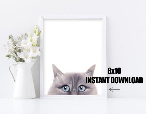Gray Cat Printable Picture - Kitty Cat Lover Wall Decor - Instant Download - Feline grey cat print - 8x10 Digital File - Download and Print Il_570xn