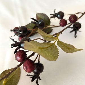 May include: A decorative branch featuring dark purple and deep red berries with small, pointed calyxes. The branch includes several light green, textured leaves with visible veins, attached to a thin, brown, woody-looking stem with small thorns.