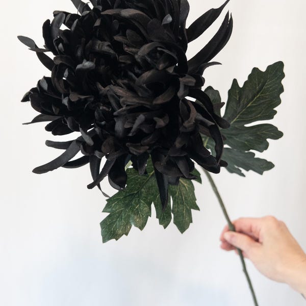 Black Chrysanthemum Stem – 26” Realistic Faux Flower with 6.5” Bloom