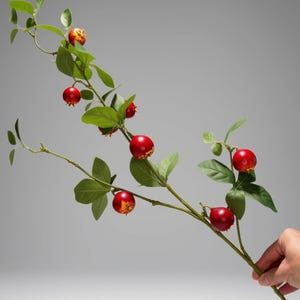 Realistic Red Mini Pomegranate Branch | Red Berry Holiday Greenery | Tall Artificial Fruit Stem, 32"