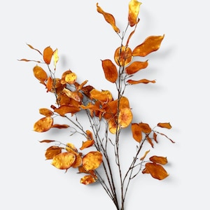 May include: A decorative branch featuring numerous translucent, oval-shaped seed pods in a vibrant metallic orange hue. The thin, dark brown stems branch out, supporting the flat, papery, and reflective foliage that creates a layered, organic structure.