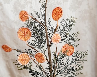 Fern Stem with Dried Orange Slices | 24" Holiday Floral