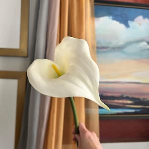 Jumbo Realistic White Calla Lily Stem – 25” Long Faux Flower Stem | Large Bloom with Velvety Petals | Elegant Single Stem Decor