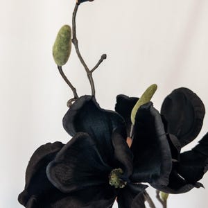 May include: A close-up of a black magnolia flower with a dark stem and green buds. The flower has large, velvety petals and a detailed center. The background is plain white.