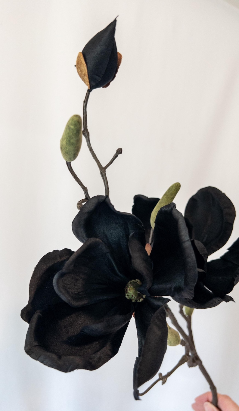 May include: A close-up of a black magnolia flower with a dark stem and green buds. The flower has large, velvety petals and a detailed center. The background is plain white.