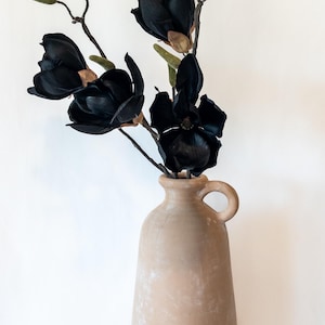 May include: A beige ceramic vase with a handle holds several black magnolia flowers and buds. The flowers have dark petals and are arranged with green and brown accents. The vase has a textured surface.