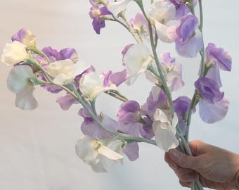 May include: A bouquet of sweet pea flowers in shades of white and purple. The flowers have delicate, ruffled petals and are held together by a hand. The stems are a soft green color.