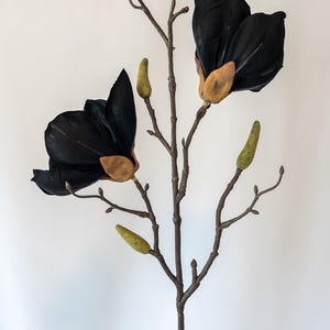May include: A decorative floral stem featuring two large black magnolia blossoms with tan centers and several green buds. The stem is brown and held against a white background. A tan vase is in the lower left corner.