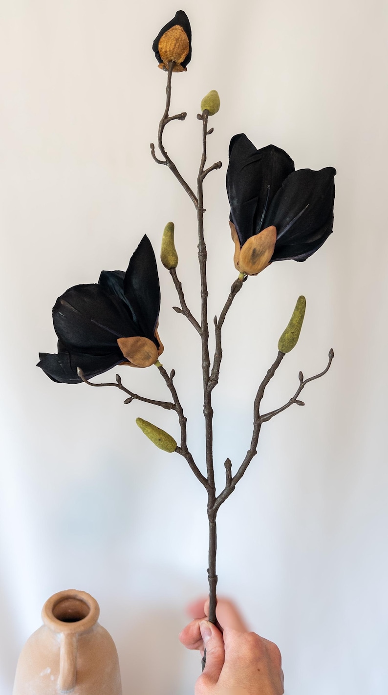 May include: A decorative floral stem featuring two large black magnolia blossoms with tan centers and several green buds. The stem is brown and held against a white background. A tan vase is in the lower left corner.
