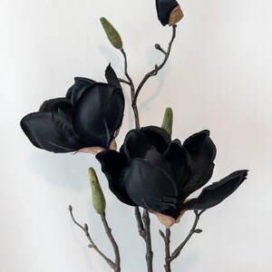 May include: Artificial black magnolia flowers with green buds and brown stems. The large, open blooms have a velvety texture, and the buds are a soft green. The stems are a natural brown color, creating a striking contrast against the white background.