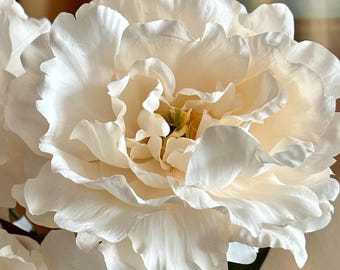 Cream Ivory Peony Stem | Luxury Faux Peony | Realistic Layered Bloom | Wedding & Home Decor