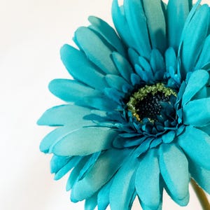 May include: A close-up shot of a teal gerbera daisy. The flower has multiple layers of petals, with a dark green and black centre. The stem is light brown, and the background is a soft white.