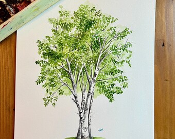 New Hampshire State tree/ White birch/ custom gift/ fine art print/ great gift-anniversary, wedding, housewarming/personalizable