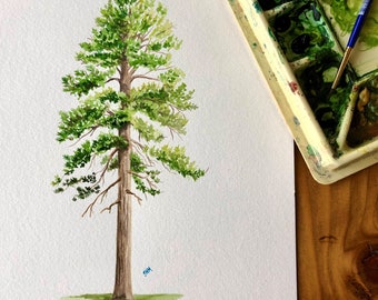 State Tree of Montana - Ponderosa Pine, Original Art, Custom, personalized gift, Anniversary gift, wedding gift, mother's day or going-away