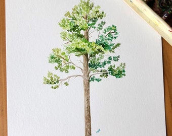 State Tree of Alabama - Southern Longleaf Pine,  Original Art, Custom gift, personalized gift, Anniversary gift, wedding gift, housewarming