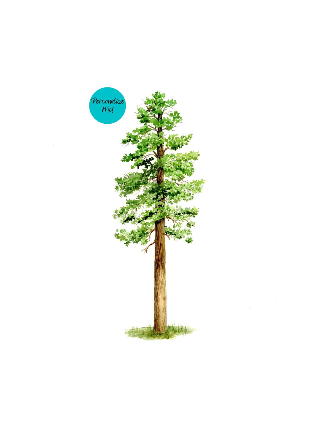 Montana State Tree/ Ponderosa Pine /custom Gift/ Fine Art Print/ Great