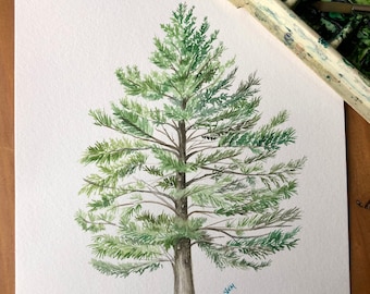 State tree of Michigan & Maine - Eastern White Pine, Original watercolor, custom art, personalized gift, wedding, anniversary, housewarming