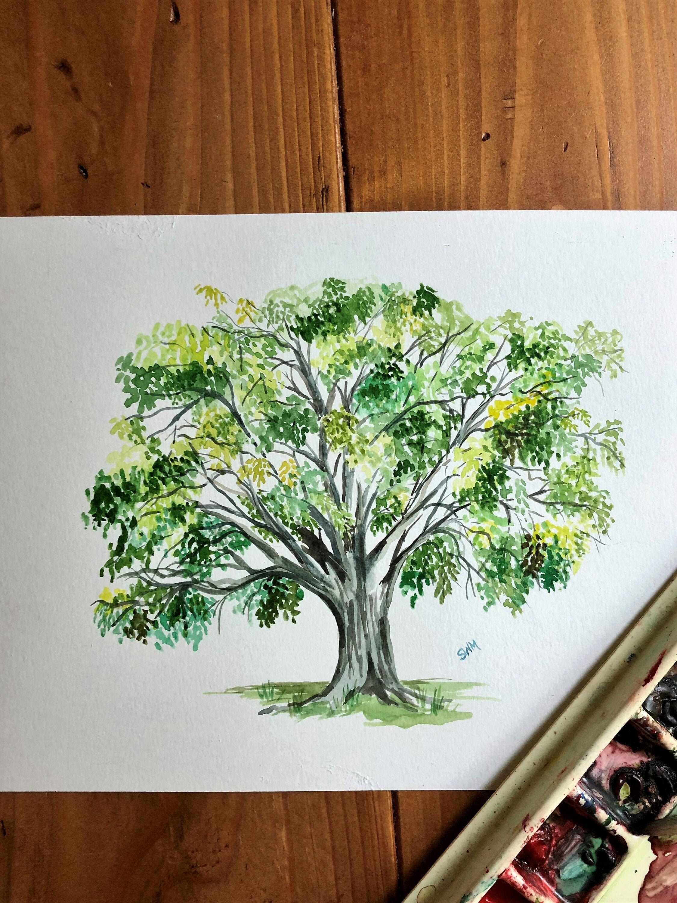 State Tree of Massachusetts, State Tree of North Dakota - American Elm, Original Art, Custom gift, personalized gift, gallery wall decor