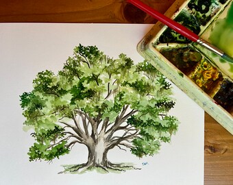 Puede incluir: Pintura acuarela de un gran árbol verde con un tronco grueso y ramas. El árbol tiene largas y fluidas hebras de musgo español colgando de sus ramas. La pintura está firmada "SAM" en la esquina inferior derecha.