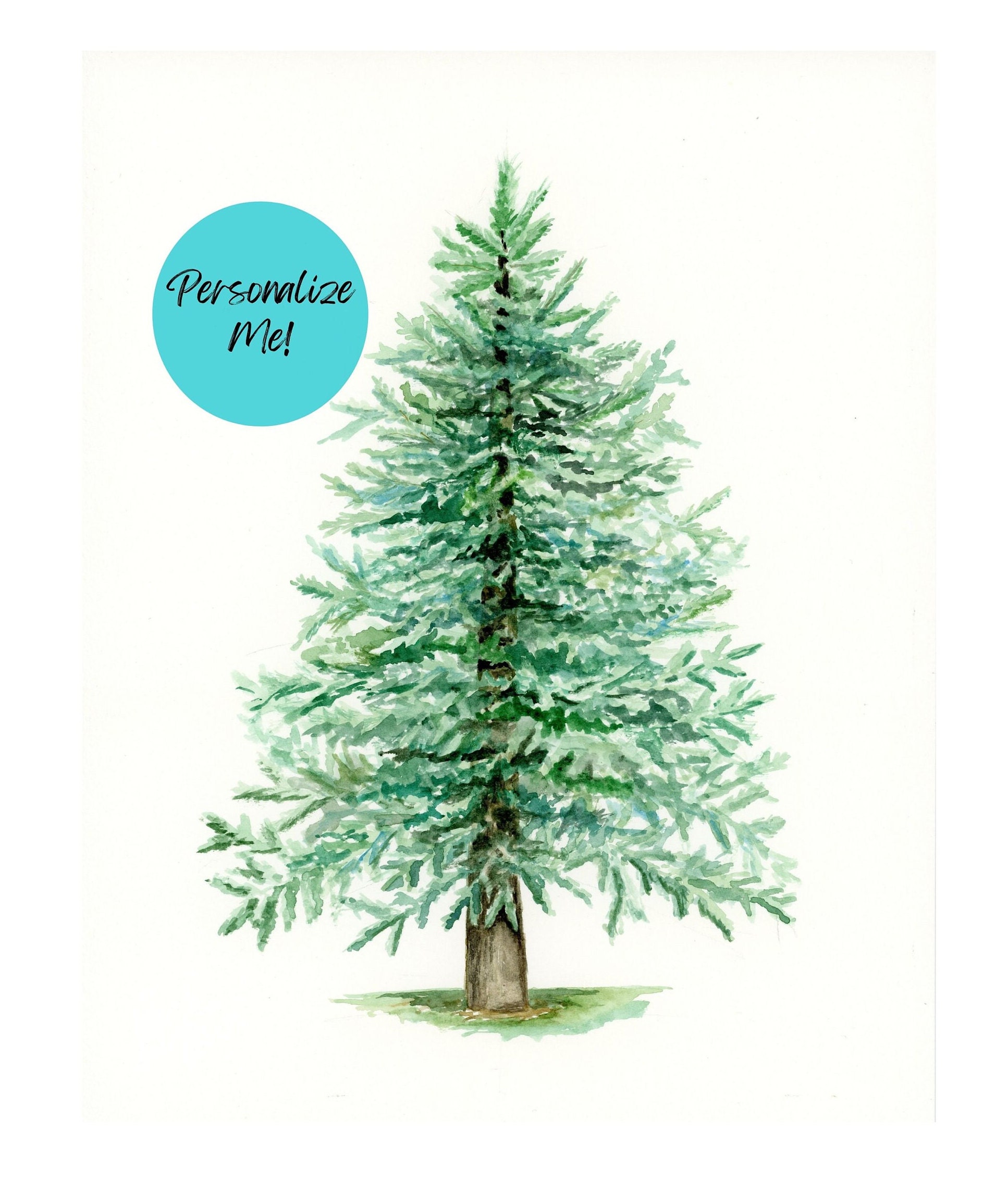 picea-pungens-google-search-landscape-nursery-picea-pungens