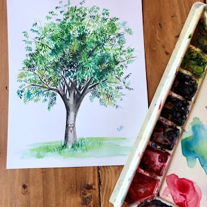 Watercolor State Tree of Texas, Pecan Tree, Original - not print, 8x10, custom artwork, custom gift, gallery wall decor, personalized gift