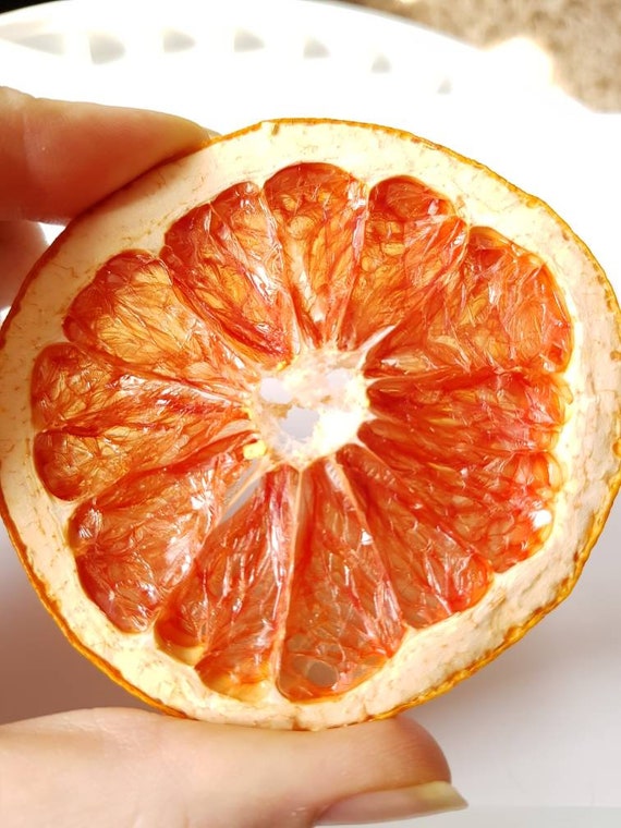 2050 Rebanadas de pomelo seco Etsy España