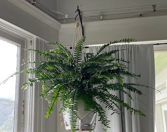 Open Loop Macrame Plant Hanger | No Tassel | Great for Large Plants and Low Ceilings | custom length macrame plant hanger