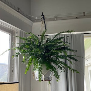 Colgador de macramé de bucle abierto / Sin borlas / Ideal para plantas grandes y techos bajos / Colgador de macramé de longitud personalizada