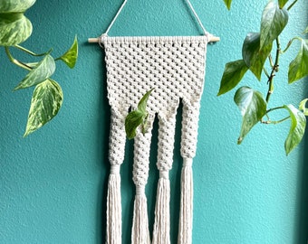 Macrame Plant Propagation Wall Hanging: Indoor Garden Decor