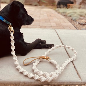 Macrame dog leash | sturdy rope and leather dog leash on brass hardware | knotted rope pet pull