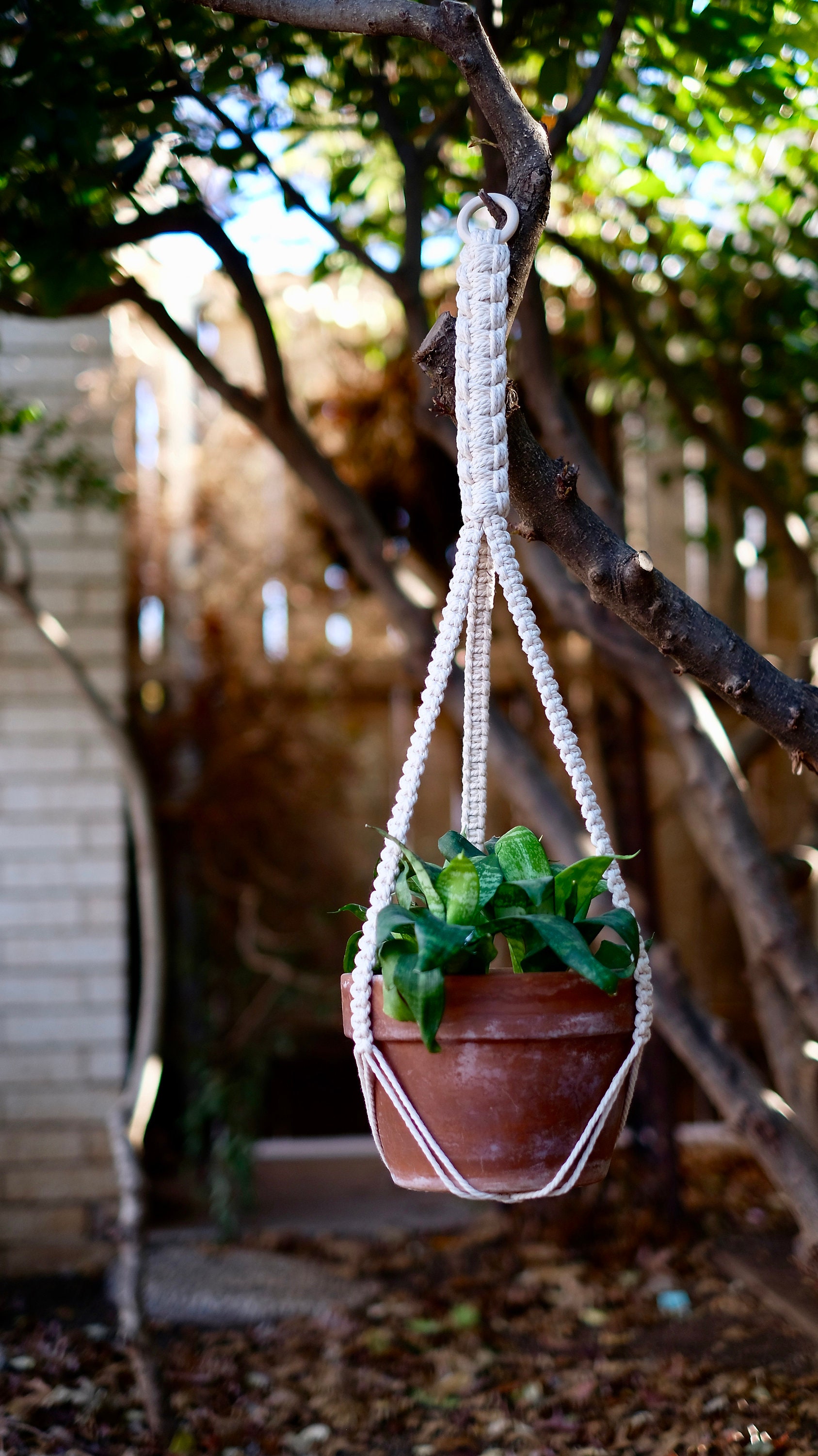 No Tassel Macrame Plant Hanger Tassel free Etsy Canada