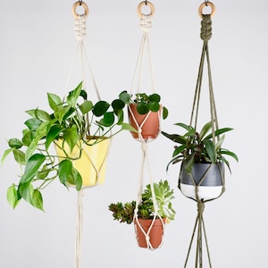 Może przedstawiać: Trzy makramowe wieszaki na rośliny z drewnianymi kółkami na górze. Wieszaki są wykonane z naturalnego sznurka bawełnianego i trzymają rośliny doniczkowe. Rośliny to zielone pnącze, sukulent i roślina liściasta.