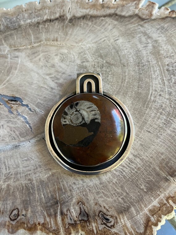 One Of A Kind Natural Ammonite Fossilized Conch S… - image 1