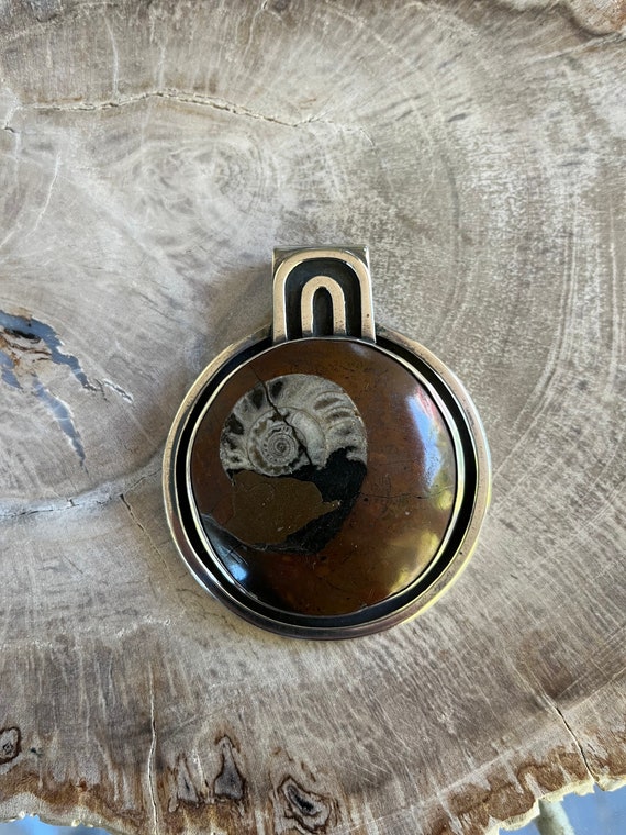 One Of A Kind Natural Ammonite Fossilized Conch S… - image 9