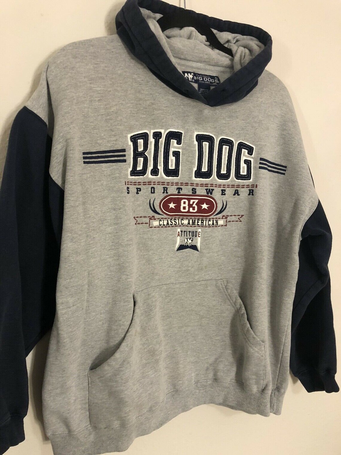 Early 2000s Big Dog Sportswear Hoodie Grey Blue Medium Etsy