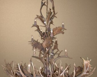 ACS-FALLOWMDEUR Buckingham Real Antler Fallow & Mule Deer Grand Chandelier