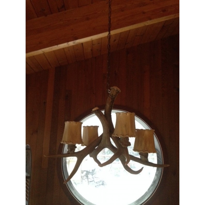 SP-3 Real Antler Mule Deer Nevada Chandelier image 4