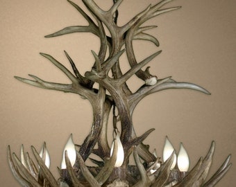 CD-WTC Santa Fe Real Antler White-Tail Cascade Chandelier