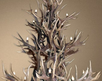 CD-ETT Eureka Real Antler Grand Elk & Mule Deer Chandelier