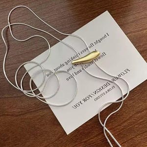 Free People Yellowstone Bolo western necklace drop gold silver chain jewelry image 11