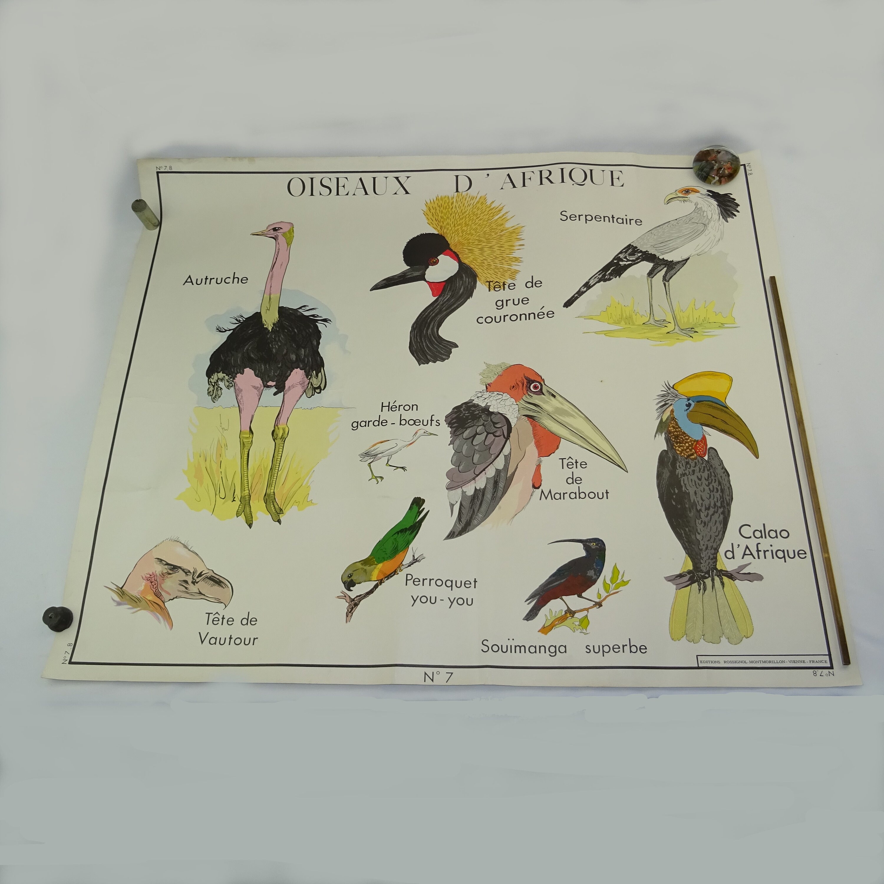 Belle Affiche Scolaire Éditions Rossignol Montmorillon/Collection France Décoration d'école Français