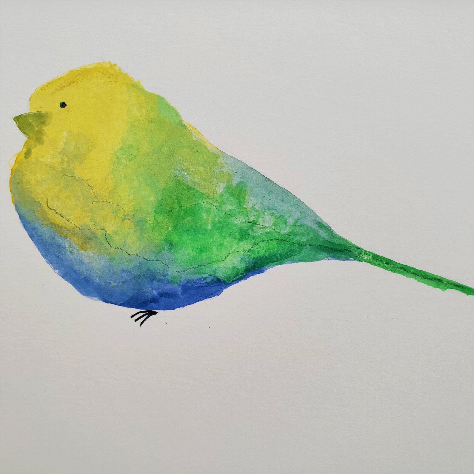 yellow bird art and design