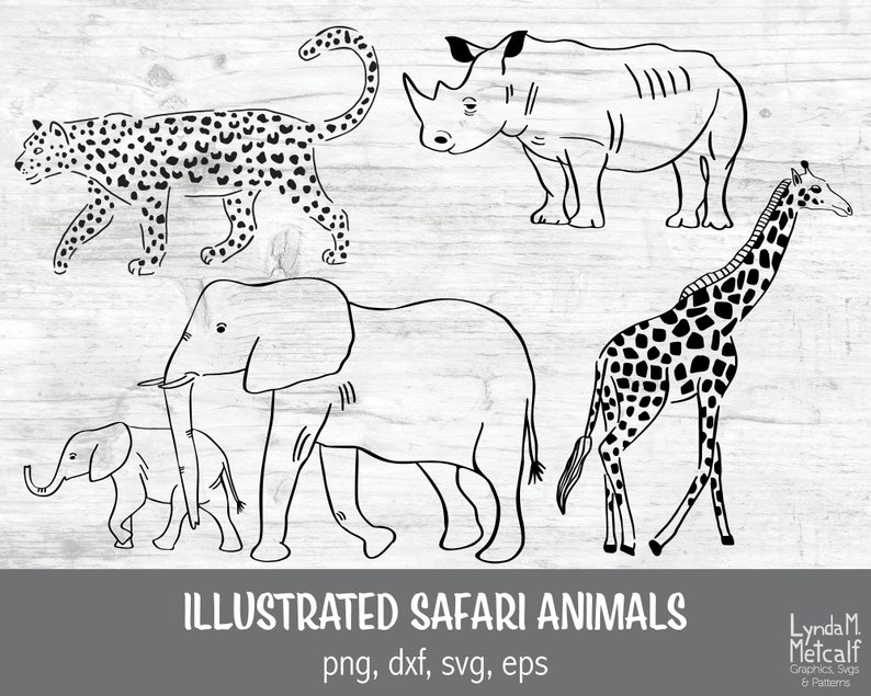 Illustrated Safari Animals SVG Bundle for Cricut &amp; Silhouette | Etsy