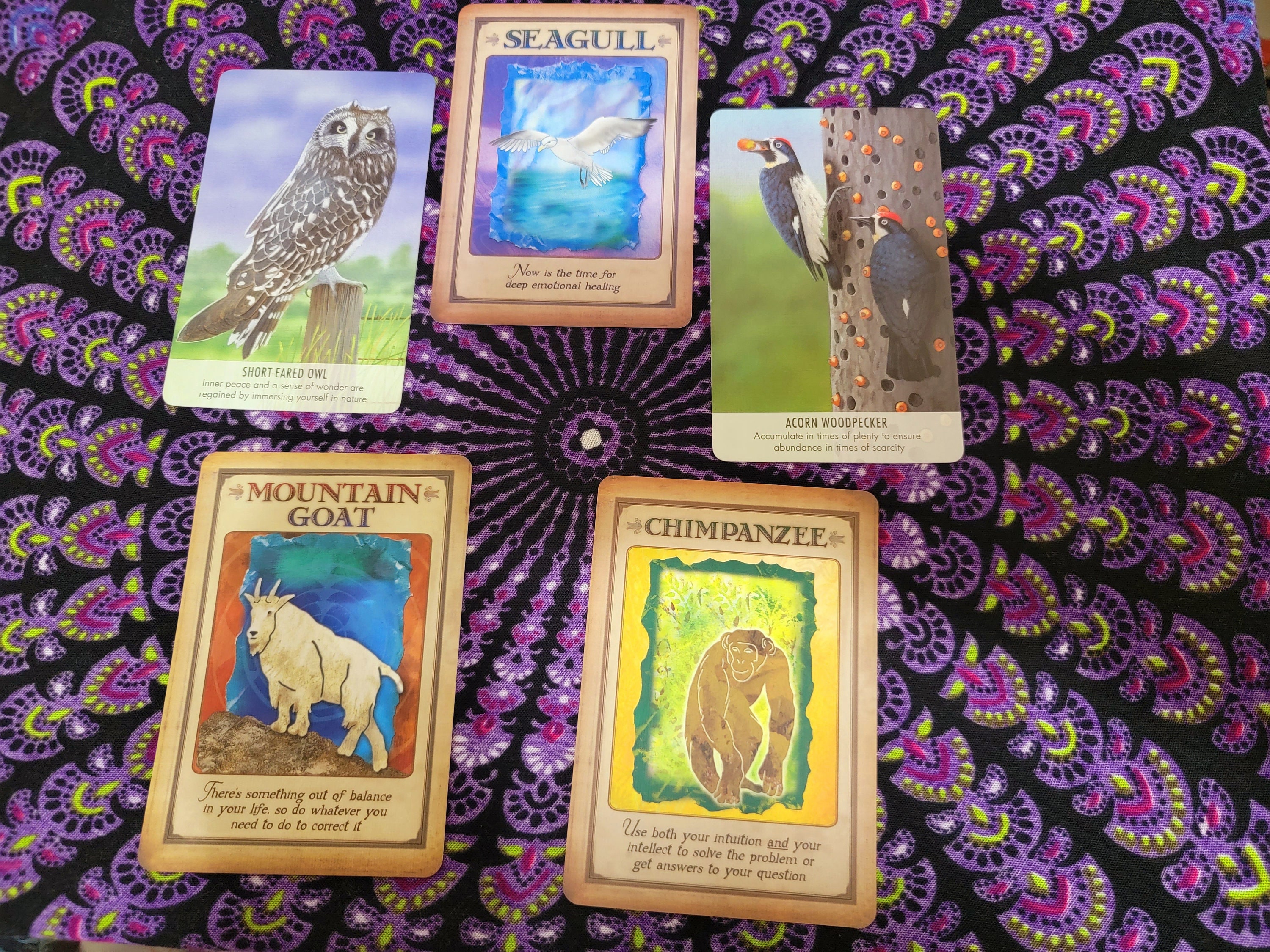 Animal Spirit Guide Identification - Etsy Animal Spirit Guide Identification - Etsy