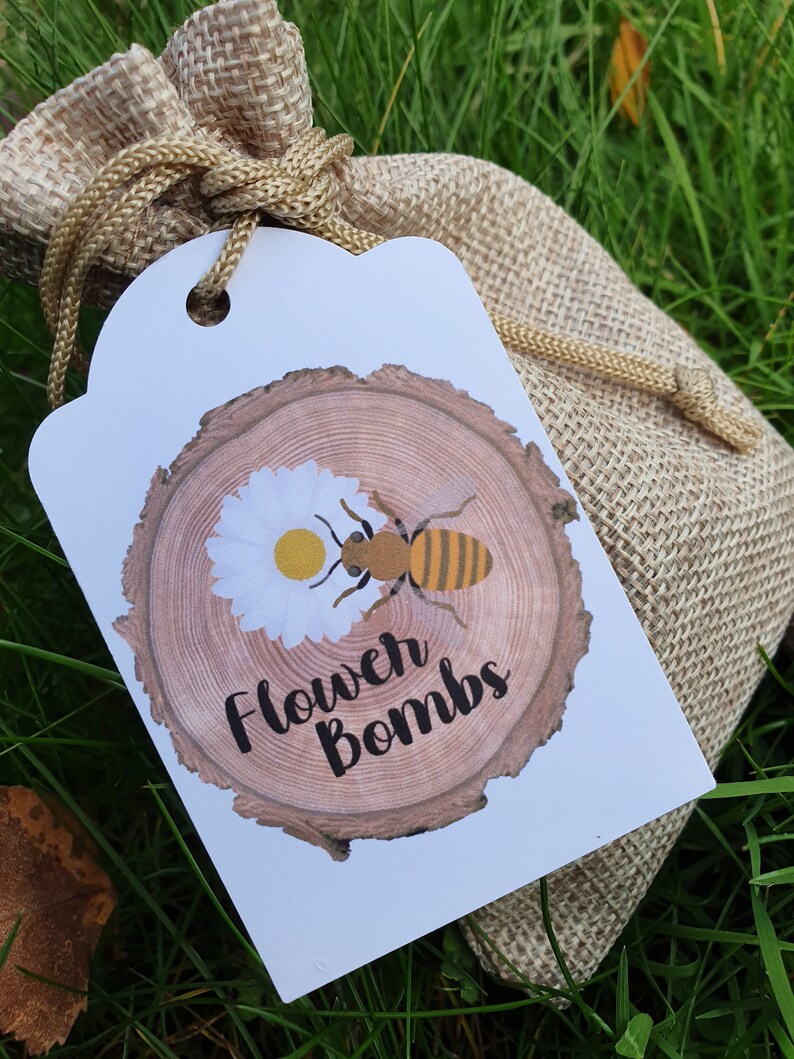 XL Bee Hotel & Flower Bomb Gift Set Wild Flower Seed Bombs Etsy