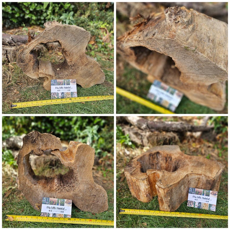 Garden Feature Log natural Sculpture, Pond, Garden, Habitat